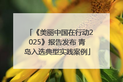 《美丽中国在行动2025》报告发布 青岛入选典型实践案例