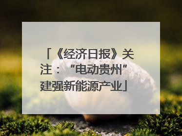《经济日报》关注：“电动贵州”建强新能源产业