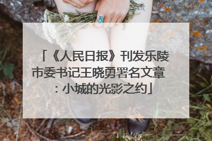 《人民日报》刊发乐陵市委书记王晓勇署名文章：小城的光影之约