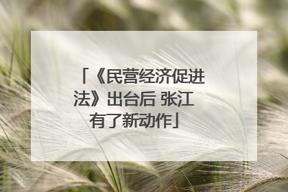 《民营经济促进法》出台后 张江有了新动作