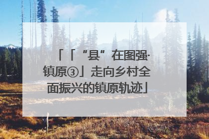 「“县”在图强·镇原③」走向乡村全面振兴的镇原轨迹