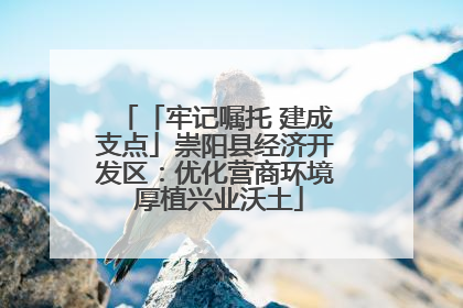 「牢记嘱托 建成支点」崇阳县经济开发区：优化营商环境 厚植兴业沃土