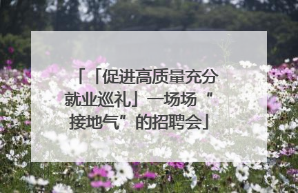 「促进高质量充分就业巡礼」一场场“接地气”的招聘会