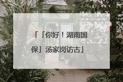 「你好！湖南国保」汤家岗访古