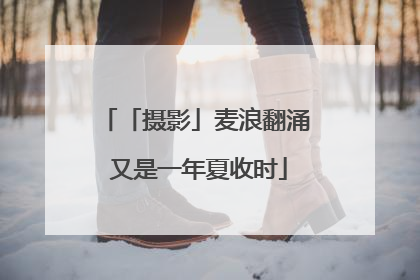 「摄影」麦浪翻涌 又是一年夏收时