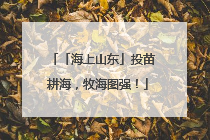 「海上山东」投苗耕海，牧海图强！