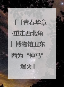 「青春华章·重走西北角」博物馆丑东西为“神马”爆火