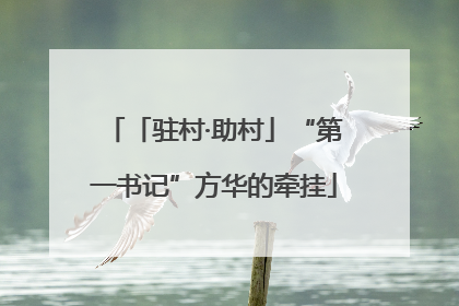 「驻村·助村」“第一书记”方华的牵挂