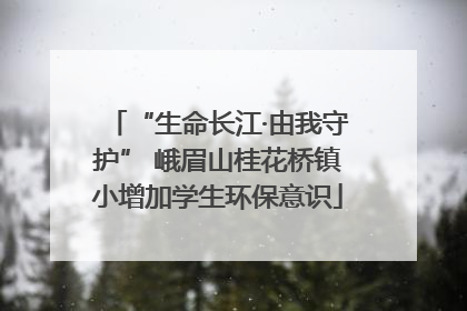 “生命长江·由我守护” 峨眉山桂花桥镇小增加学生环保意识