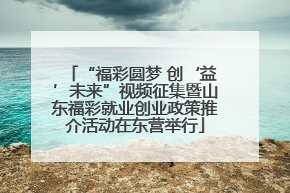“福彩圆梦 创‘益’未来”视频征集暨山东福彩就业创业政策推介活动在东营举行