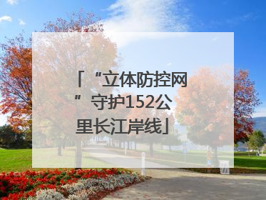 “立体防控网”守护152公里长江岸线