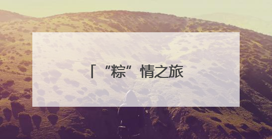 “粽”情之旅 童趣满溢