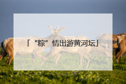 “粽”情出游黄河坛