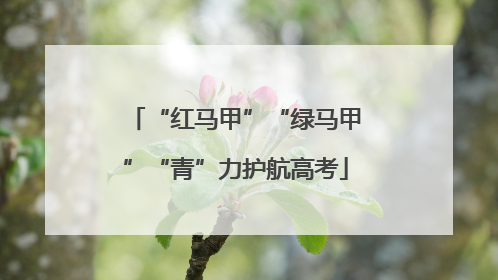 “红马甲”“绿马甲”“青”力护航高考