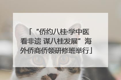 “侨约八桂·学中医 看非遗 谋八桂发展”海外侨商侨领研修班举行