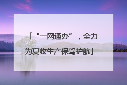 “一网通办”，全力为夏收生产保驾护航
