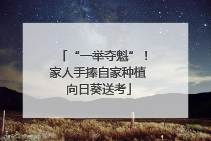 “一举夺魁”！家人手捧自家种植向日葵送考