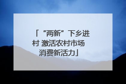 “两新”下乡进村 激活农村市场消费新活力