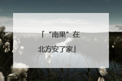 “南果”在北方安了家