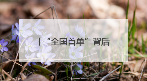 “全国首单”背后的淄博民生情怀