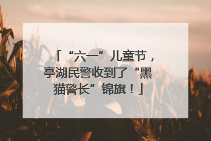 “六一”儿童节，亭湖民警收到了“黑猫警长”锦旗！