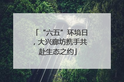 “六五”环境日，大兴廊坊携手共赴生态之约