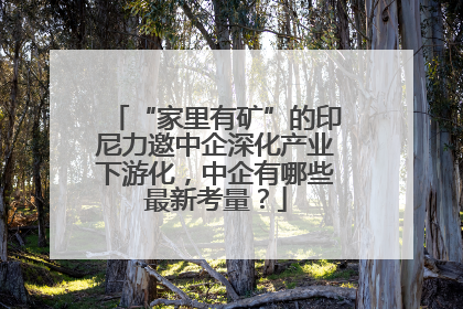 “家里有矿”的印尼力邀中企深化产业下游化，中企有哪些最新考量？