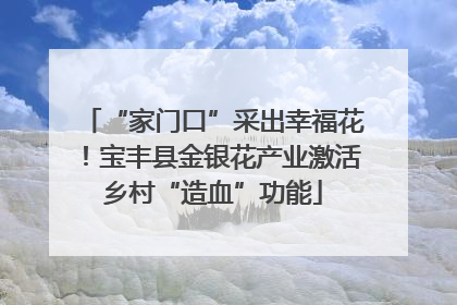“家门口”采出幸福花！宝丰县金银花产业激活乡村“造血”功能