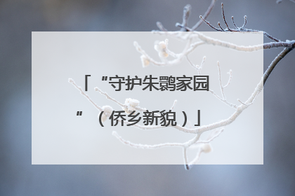 “守护朱鹮家园”（侨乡新貌）