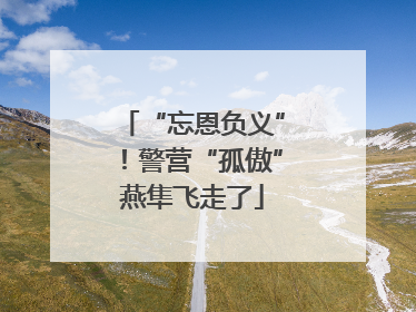 “忘恩负义”！警营“孤傲”燕隼飞走了