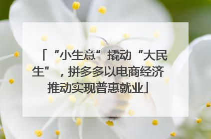 “小生意”撬动“大民生”，拼多多以电商经济推动实现普惠就业