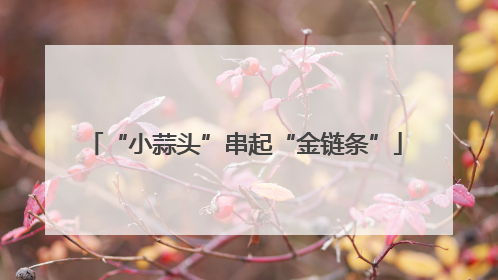 “小蒜头”串起“金链条”
