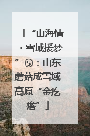 “山海情・雪域援梦”⑤：山东蘑菇成雪域高原“金疙瘩”