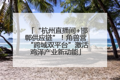 “杭州直播间+邯郸供应链”！角兽营“跨域双平台”激活鸡泽产业新动能