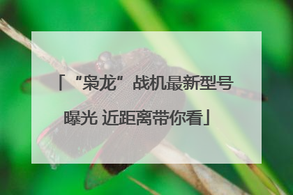 “枭龙”战机最新型号曝光 近距离带你看