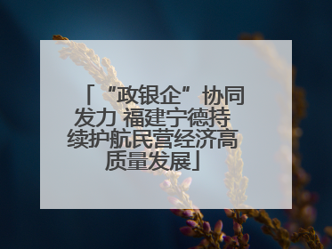 “政银企”协同发力 福建宁德持续护航民营经济高质量发展