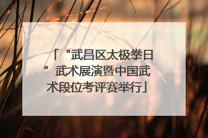 “武昌区太极拳日”武术展演暨中国武术段位考评赛举行