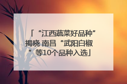 “江西蔬菜好品种”揭晓 南昌“武阳白椒”等10个品种入选