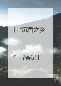 “沉香之乡”寻香记