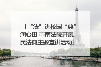 “法”进校园“典”润心田 市南法院开展民法典主题宣讲活动