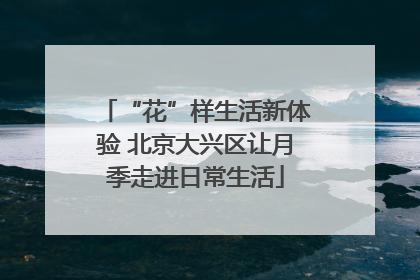 “花”样生活新体验 北京大兴区让月季走进日常生活