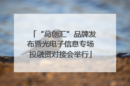 “葛创汇”品牌发布暨光电子信息专场投融资对接会举行