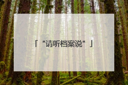 “请听档案说”