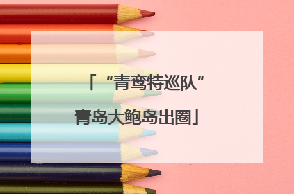 “青鸾特巡队”青岛大鲍岛出圈