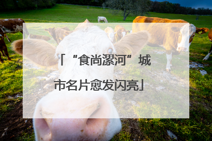 “食尚漯河”城市名片愈发闪亮