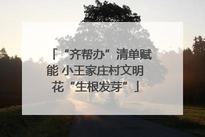 “齐帮办”清单赋能 小王家庄村文明花“生根发芽”