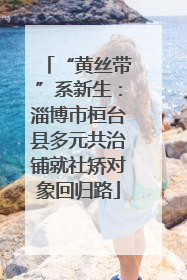 “黄丝带”系新生：淄博市桓台县多元共治铺就社矫对象回归路