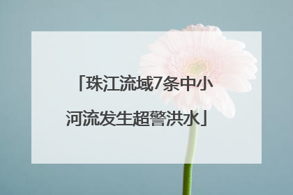 珠江流域7条中小河流发生超警洪水