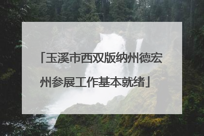玉溪市西双版纳州德宏州参展工作基本就绪