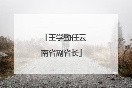 王学勤任云南省副省长